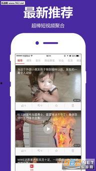 日本老赖爆料视频播放下载,视频播放下载背后的惊人内幕  第2张